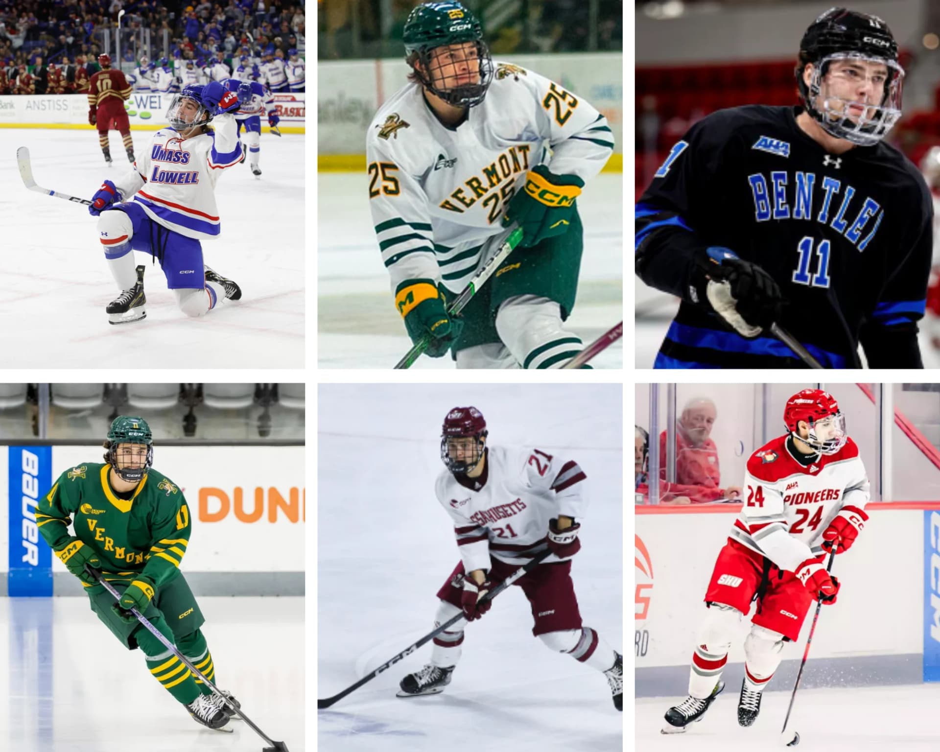 Hockey player in action